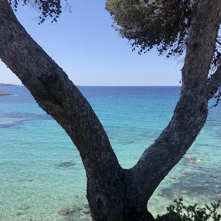 Les Baux 2 Sanary Sur Mer מראה חיצוני תמונה