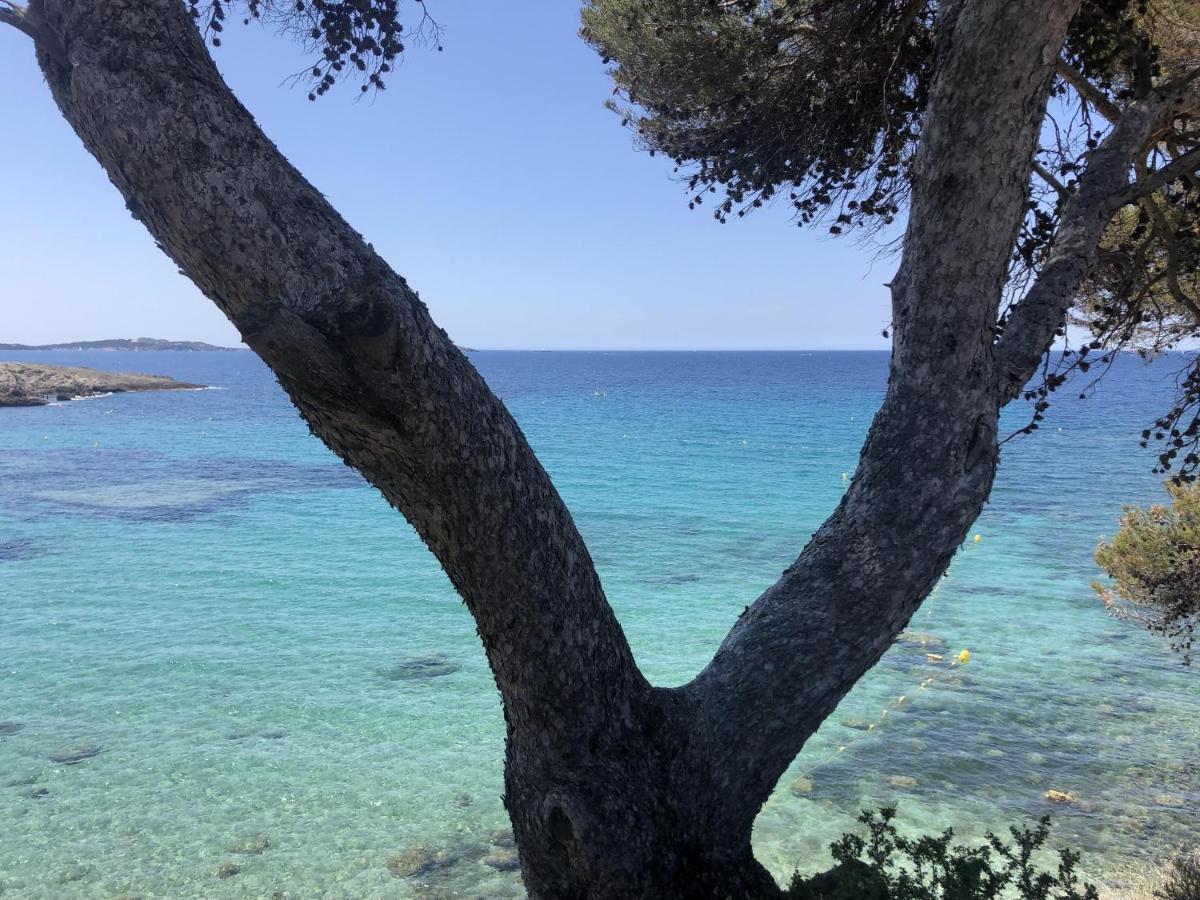 Les Baux 2 Sanary Sur Mer מראה חיצוני תמונה
